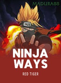Ninja Ways icon